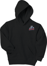 Hartford Jr. Wolfpack Youth EcoSmart Pullover Hooded Sweatshirt