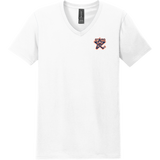 NY Stars Softstyle V-Neck T-Shirt