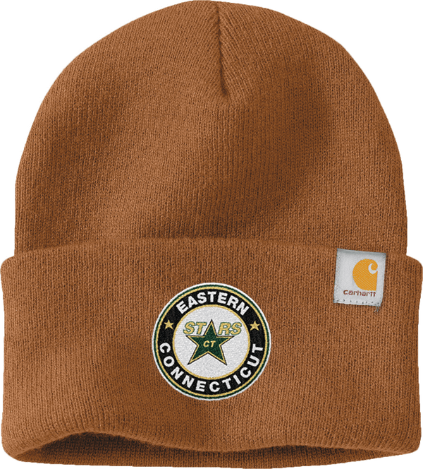 CT ECHO Stars Carhartt Watch Cap 2.0