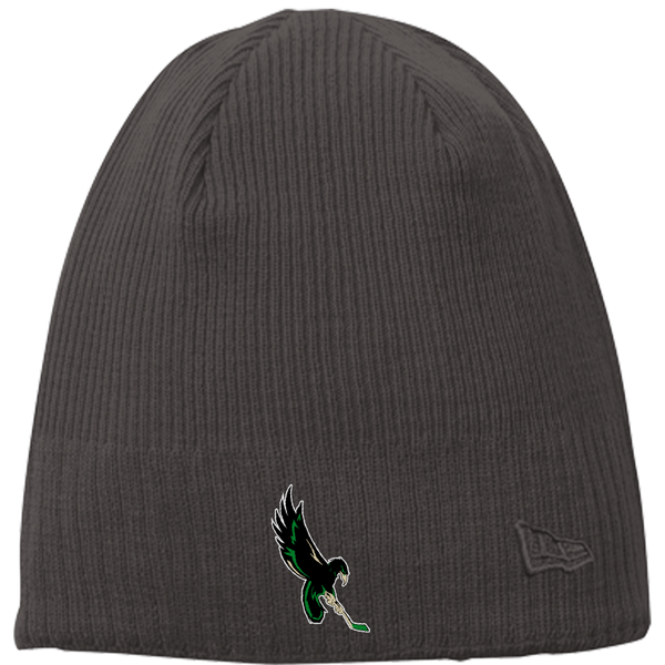 Wilmington Nighthawks New Era Knit Beanie