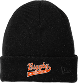 Biggby Coffee AAA New Era Speckled Beanie