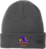 Youngstown Phantoms New Era Speckled Beanie