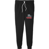 NJ Titans Breakaway Fall Fleece Youth Jogger Pants