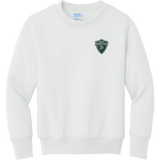 Biggby Spartans Youth Core Fleece Crewneck Sweatshirt
