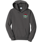 Wash U Youth Fan Favorite Fleece Pullover Hooded Sweatshirt