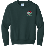 Wash U Youth Core Fleece Crewneck Sweatshirt