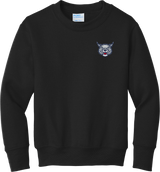 CT Bobcats Youth Core Fleece Crewneck Sweatshirt