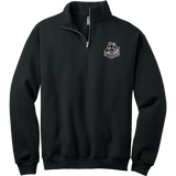 Grundy Senators NuBlend 1/4-Zip Cadet Collar Sweatshirt